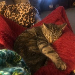 Meet your Posher, Patricia